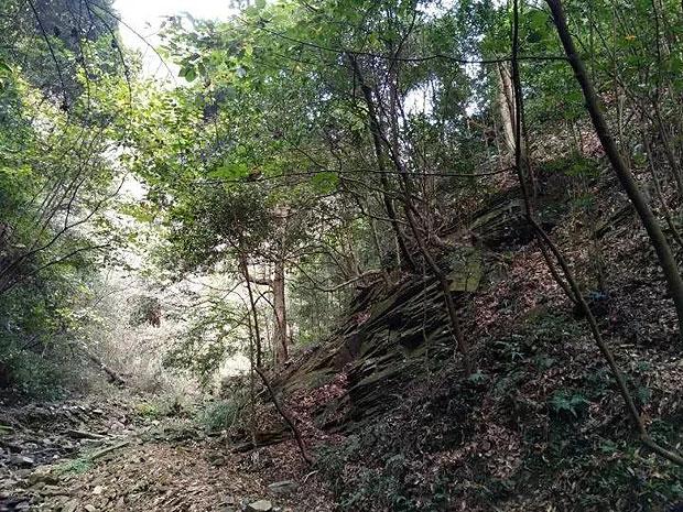 城市街道找不同
